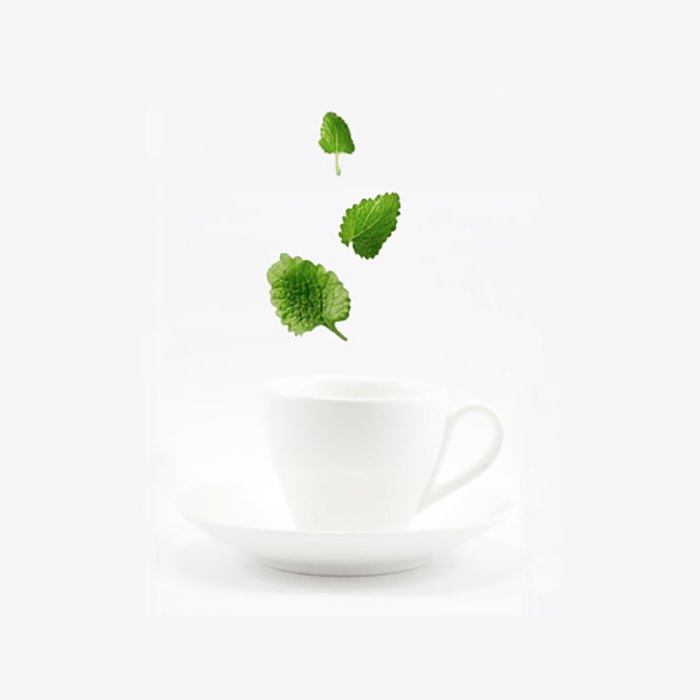 Mint Writing-brand experience