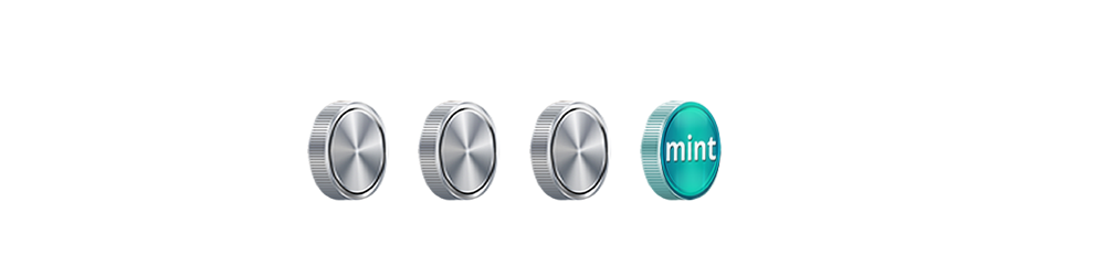 Mint Writing-branding